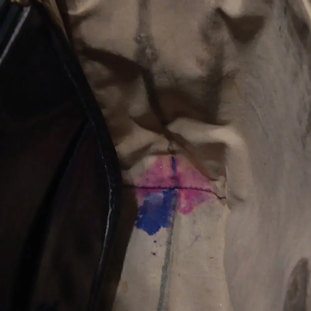 Brahmin   - Picture 8 of 9